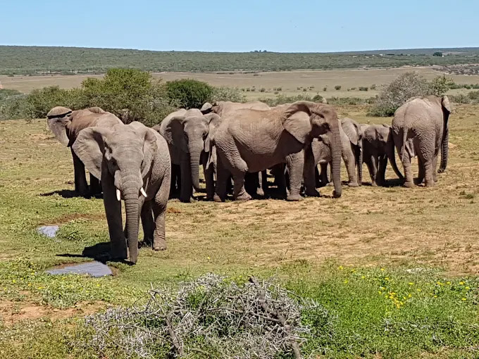 Parkview Lodge Activities